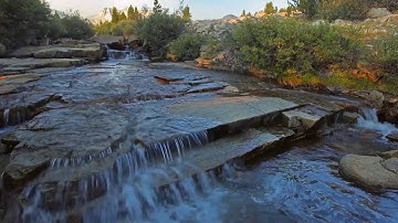 سورة النبأ بصوت الشيخ وديع اليمني