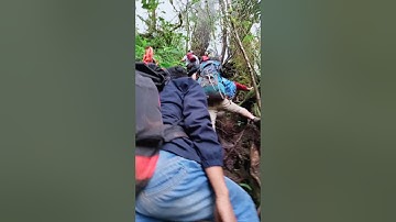 TANJAKAN SYAITHON , Gunung Masurai ,Bikin sesak nafas 🥵