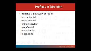Medical Terminology Chapter 3 Prefixes