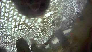 Mud Run Movie Trailer