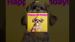 We've got the perfect GIF for every birthday celebration! 🎈🎁