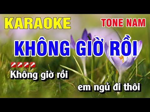 Karaoke Không Giờ Rồi Tone Nam Nhạc Sống | Nguyễn Linh mới 2023