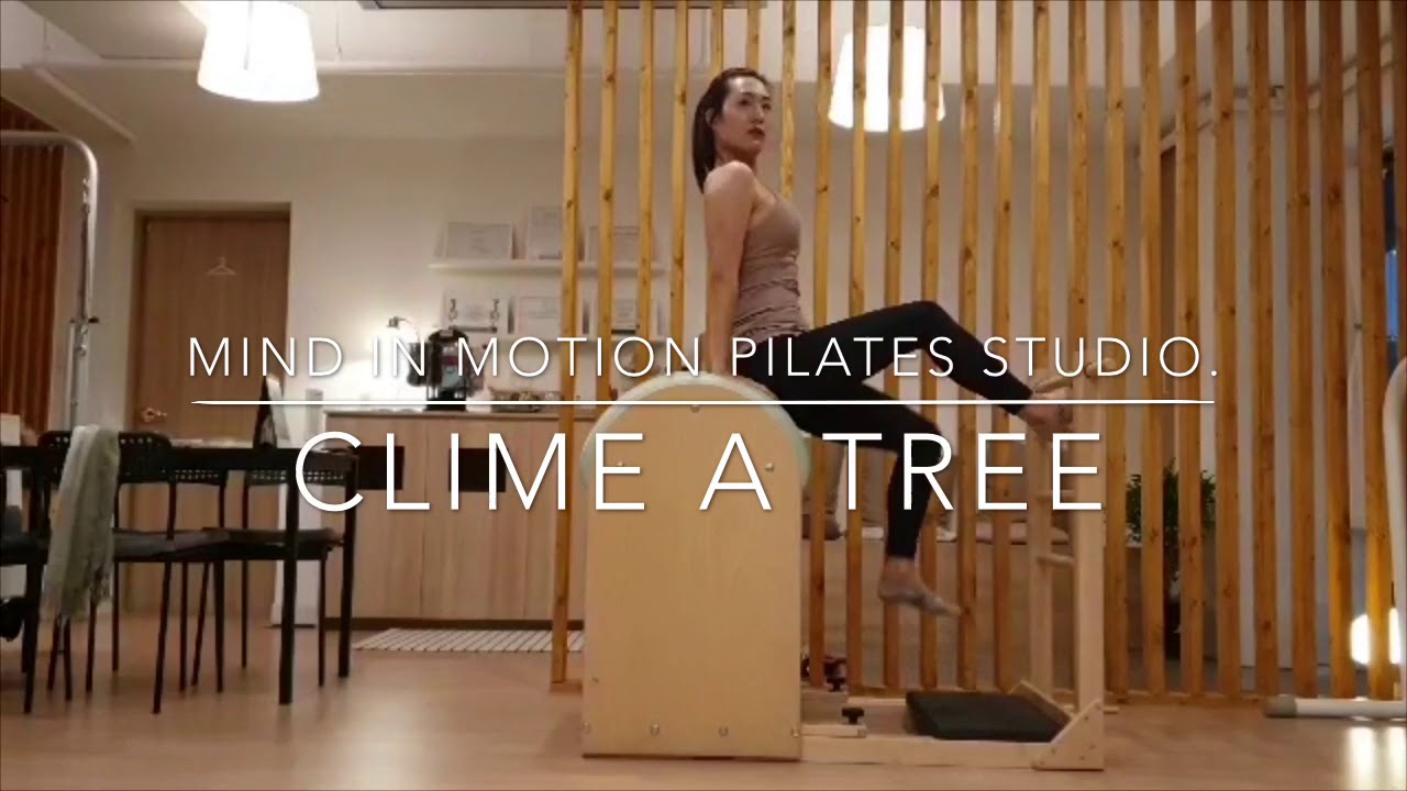Climb a tree: pilates on ladder barrel.