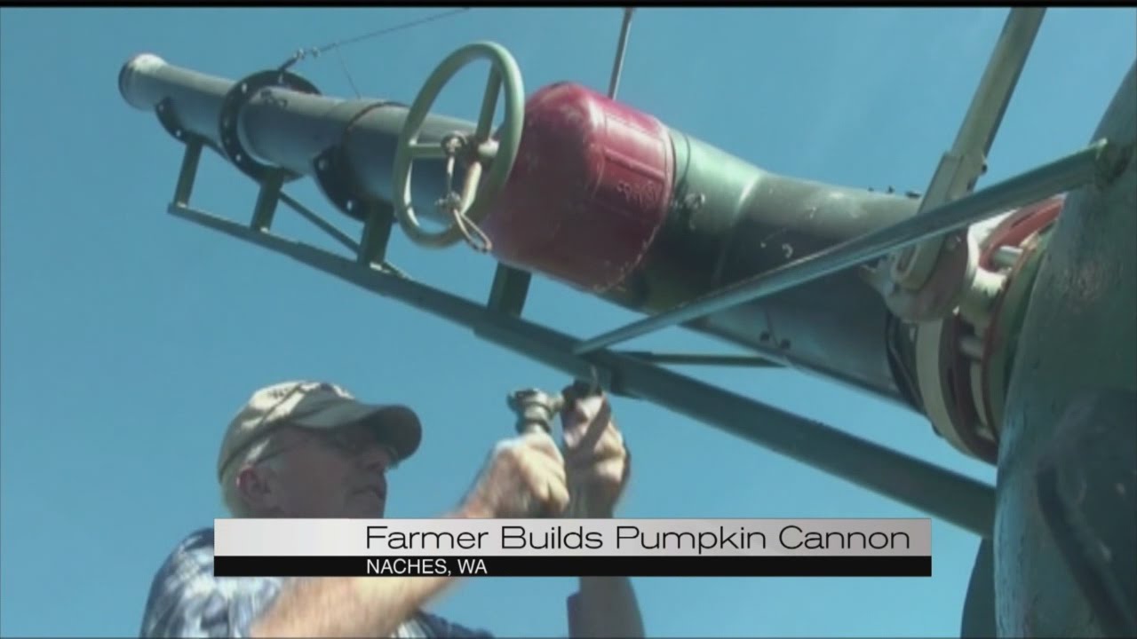 Farmer builds pumpkin cannon