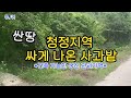 매물.41/옥산면에 가격 싸게 나온 묵혀진 사과밭 관리지역 739평 3500만원(#경북#부동산#의성땅매매#군위땅매매#싼땅#시골#농촌#주말농장#쉼터#과수원#사과밭#전#밭#농장)