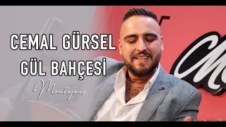 Cemal Gürsel - Gül Bahçesi (Akustik Performans) Resimi