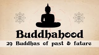 Buddhahood | Buddhas from the Theravada Buddhist Tradition | 29 Buddhas