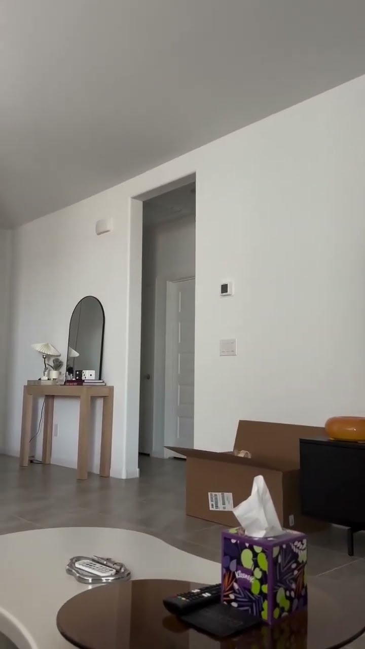Funny  cats