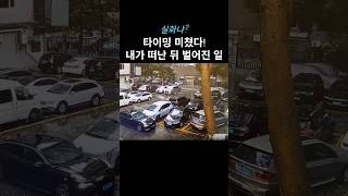 지나가자마자 나무 쿵! #자동차