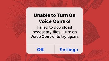 Quick Fix - Unable to turn on voice control error