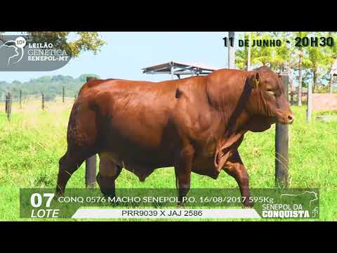 LOTE 07   CONQ 576