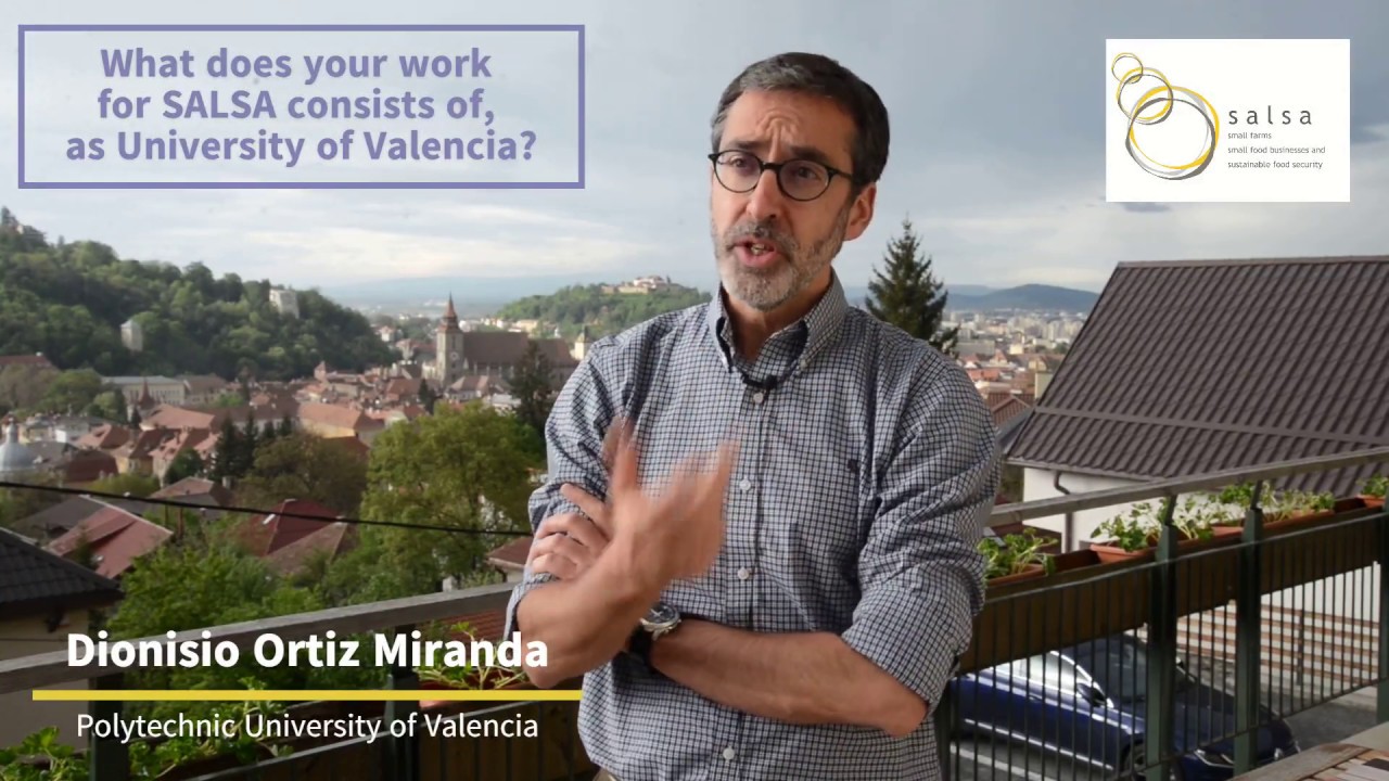 [SALSA WP4] Dionisio Ortiz (University of Valencia) on the foresight analysis for the SALSA project