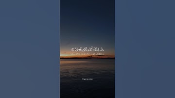 سورة النمل - ياسر الدوسري