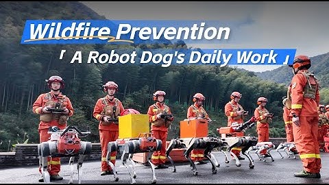 DEEP Robotics | Wildfire Prevention