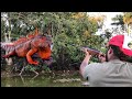 Iguana Removal Job! Ambushing Iguanas with Air Rifles From Boat!!