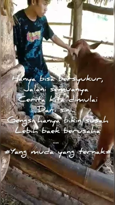 story anak kampung // yang muda yang ternak #shorts