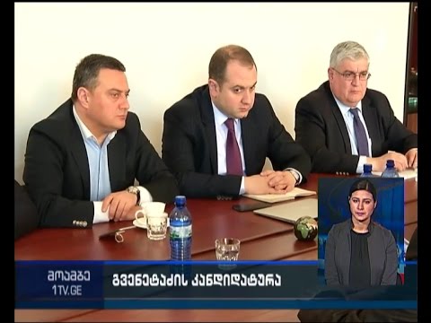 „თავისუფალი დემოკრატები“ კობა გვენეტაძის ხედვას გაეცნენ