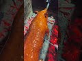 Masterpiece or Too Much? The Truth About Whole Roasted Pig | Home Kitchen China