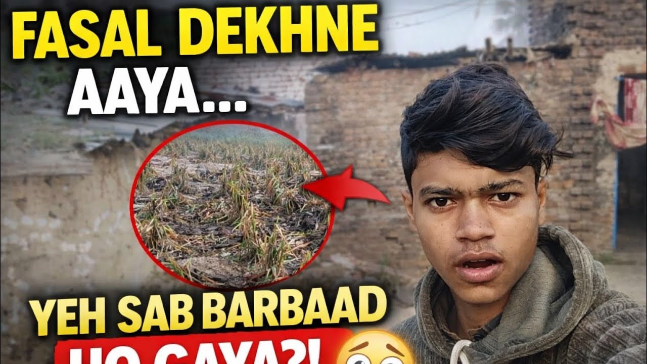 🌾 “FASAL DEKHNE AA GAYA!”😲 “Sachchai Dekhkar Shock!”