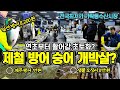 [폭락의 시작] 연초부터 활어 개박살 난 이유? 일산방어 가숭어 반값, 살사람이 없다! 선어 전국최저가 가락동수산시장 리뷰