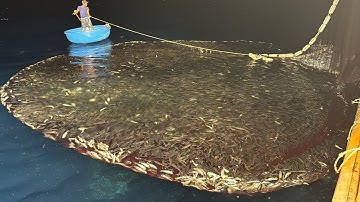 Lưới Rút Đêm Siêu Chụp A Vương Chạy Dò Gặp Cục Cá 10 Tấn Mẻ Lưới Cá Nục Đỏ Đuôi Bội Thu - Dân Biển