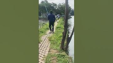 Đại hội 3 tiêu hồ Tây - Hùng Ba Tiêu #shorts #3tieu #fishing