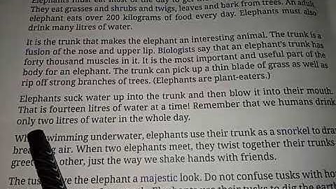 Elephants, Chapter 13, Class 3,Real English Book