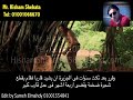 روبنسون كروسو - الفصل الثاني - تانية اعدادى