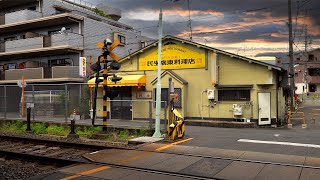 Osaka Railroad-side Chinese Restaurant Authentic Fried Rice!