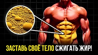 картинка: БОЛЬШЕ 50? ЭТИ 10 ВЕЩЕЙ ЗАСТАВЯТ ТВОЁ ТЕЛО СЖИГАТЬ ЖИР!