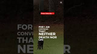 Power scripture #morningprayer #romans #bibleverse #faithinjesus #inspiration #inspirationalquotes