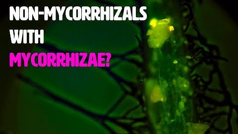 What Happens When You Inoculate NonMycorrhizals with Mycorrhizae?