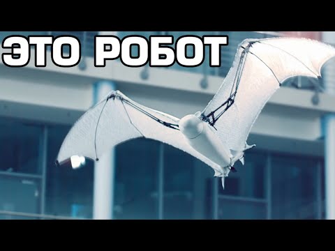 10 Самых удивительных роботов в мире