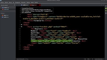 PHP y MySQL: Conexión de un formulario con una base de datos utilizando Xampp