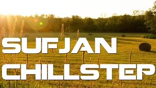 Sufjan Stevens - Exploding Whale (Atundra Chillstep Bootleg)