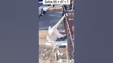 This kind man rescued a swan stuck in a fence #youtubeshorts