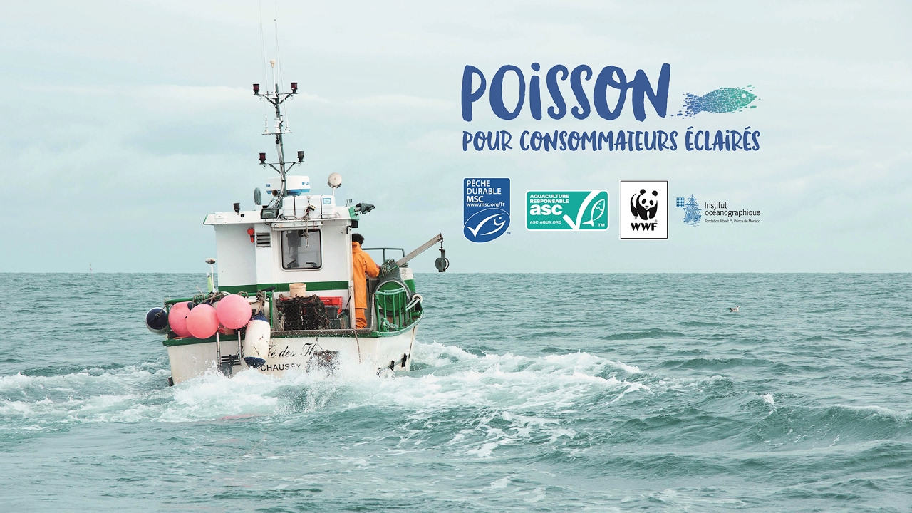 Le bassin avec la pêche kazan