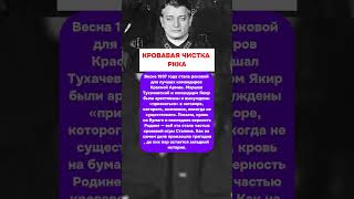 КРОВАВАЯ ЧИСТКА РККА: СЕКРЕТЫ СТАЛИНА РАСКРЫТЫ!  #ссср  #россия  #история