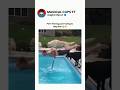 POV: The Dog is Just Trying to Help Him 😭😂 #shorts #funny #dog