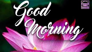 good morning status//good morning images with flower//have a blessed day