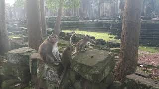 Angkor