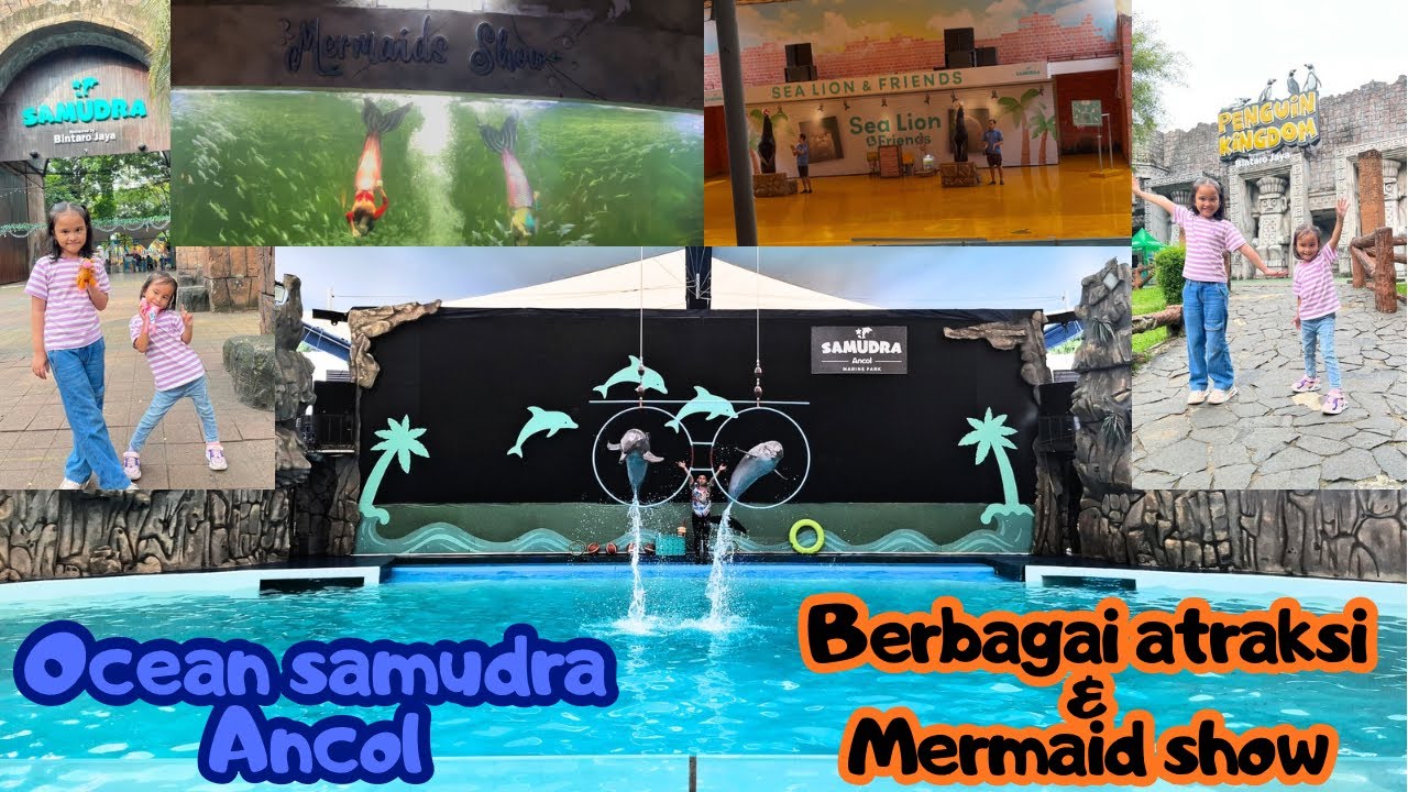 OCEAN DREAM SAMUDRA ANCOL 2025‼️ Mermaid show dan Atraksi Hewan