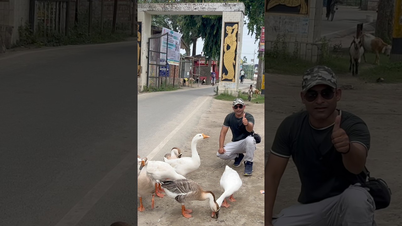 Fishing 🎣 at Matsyagandha Lake | Saharsa Bihar Tourism & Temple 