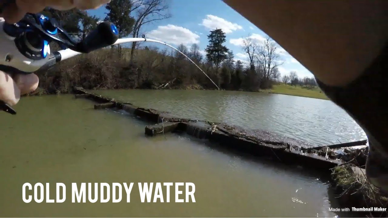 winter bass fishing from the bank Bass Fishing Cold Muddy Water