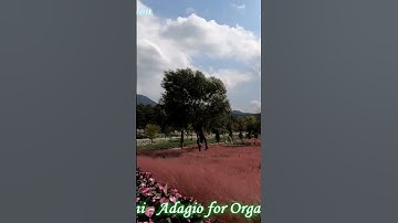 Thumbnail of Albinoni - Adagio for Organ & Strings