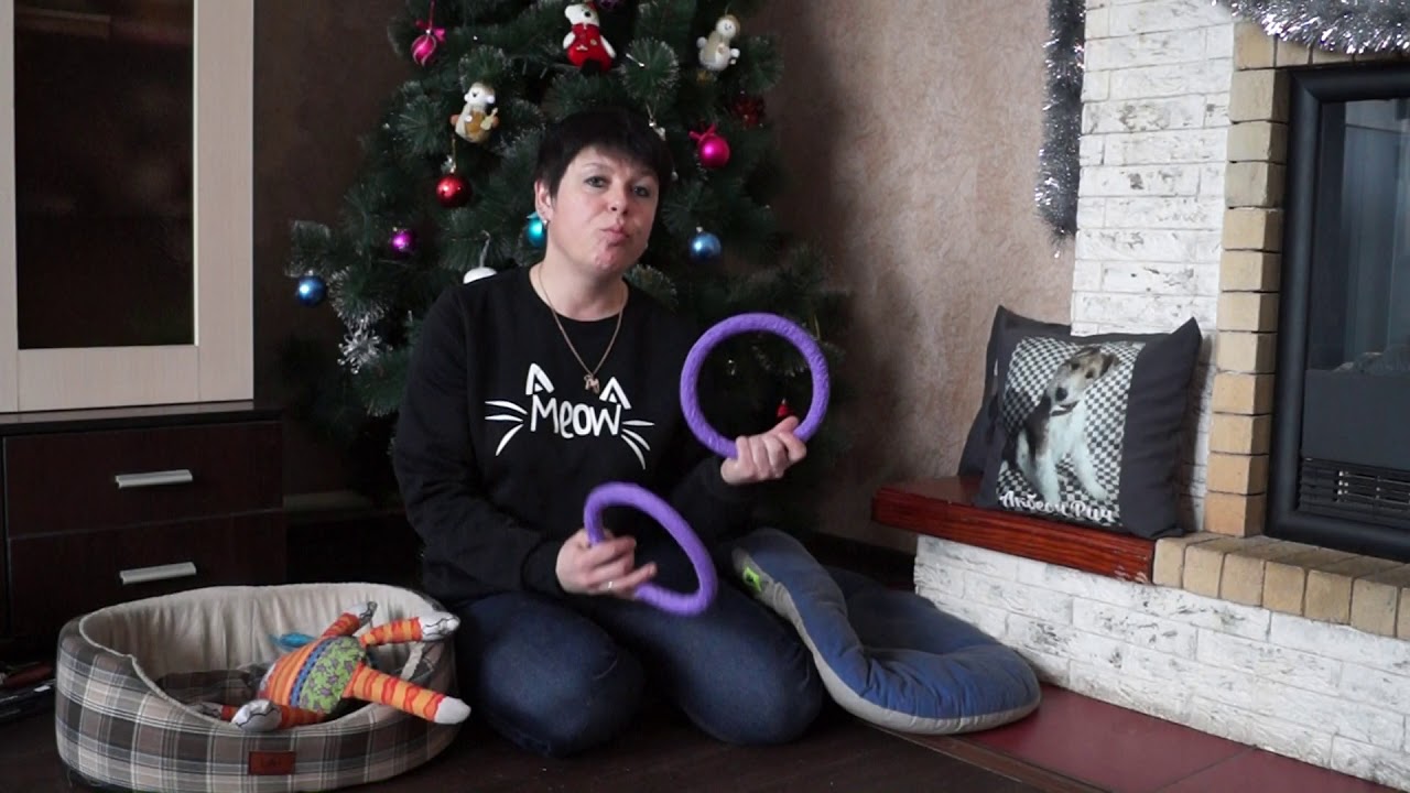 питомцы кукол лол ЧТО НУЖНО ИМЕТЬ,КОГДА У ВАС ПОЯВИЛАСЬ СОБАКА//НЕОБХОДИМЫЙ МИНИМУМ ВЕЩЕЙ ДЛЯ СОБАКИ