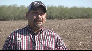 Raymondville Pet Owner Fighting to Get Dog That was Adopted by Another Family Back