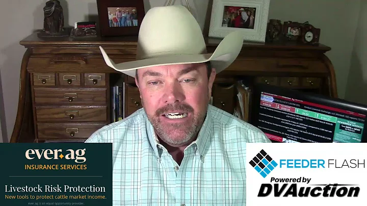 Feeder Flash 12/15:  Fed Cattle $2.00 Lower