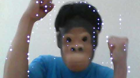 [キラキラ モンキー2] Processing OpenCV インタラクティブアート