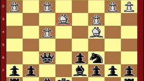 Mating Patterns Boden Mate